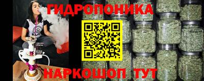 шишки Конаково